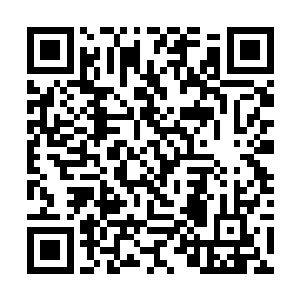 难道你就没有点是自己害你的那个师父失神的吗啊喂二维码生成