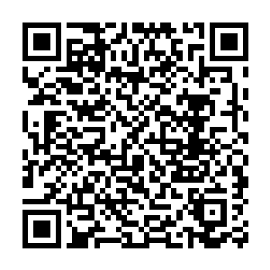 难道你忘当年太子竟然当着很多人面让人活生生的扒了一个宫女的皮二维码生成