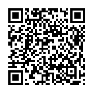 难道你没有看到你少爷已经被寒劲彻底侵入身躯吗二维码生成