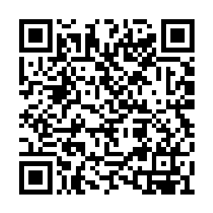 难道你没注意到昨天绑架你的那些人都很奇怪吗二维码生成
