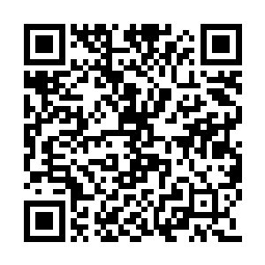 难道你的老师没有教你过关于深渊的基本知识吗二维码生成