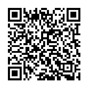 难道你看出来这龙龟内部会有这些和墨汁一样的黑线二维码生成