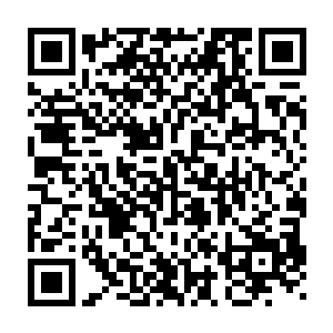 难道你觉得我一个酒吧服务生半夜三更打公安局局长的儿子就很合理二维码生成