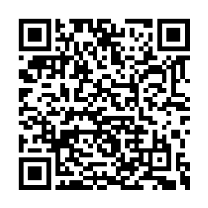 难道你觉得本尊不该去寻找遗失的这两件圣物吗二维码生成