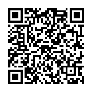 难道你还想要在将来带着许紫烟这个累赘一路躲藏二维码生成