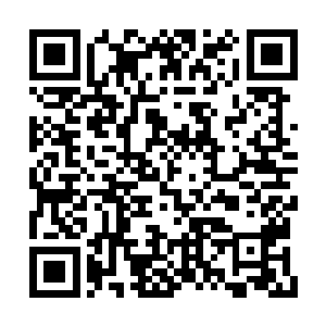 难道元皇仙尊真的只用十来年便从传说踏足造化二维码生成