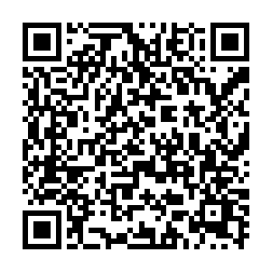 难道刚才那些豺狼拦路其实是过来给他们族长和雪狼们见面问个好二维码生成