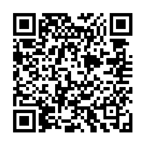 难道只有我一个人对于大狗为什么获得勋章感到好奇吗二维码生成