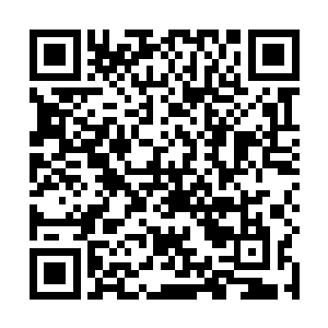难道叶秋是在这么短的时间内练成这么娴熟的厨艺的吗二维码生成