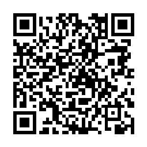 难道咱们真的就要这么一直被那人族小儿奴役下去么二维码生成