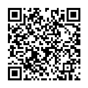 难道圣族每一代都会出现一个天生就成圣皇的人物二维码生成