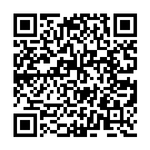 难道夏明宸的玉珏和这块临近玉是同一品质的玉二维码生成