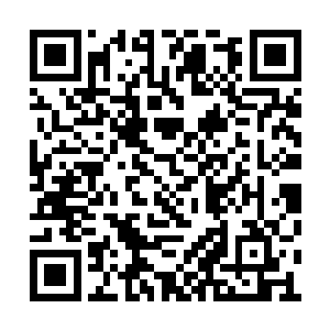 难道天从府的宝物藏在一个保卫更加森严的地方二维码生成