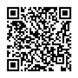 难道小蝶也没有弄清楚阴阳师和阴阳先生的区别不成二维码生成