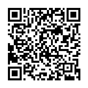 难道就因为他的母亲小时候给舅舅送过几件衣服几样玩具二维码生成