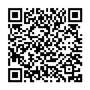 难道就要这么在看台上眼睁睁看着他将所有卡塔尔球员都过掉二维码生成