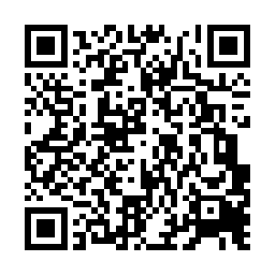 难道张道友的意思就是默认了妖族在灵武大陆存在二维码生成