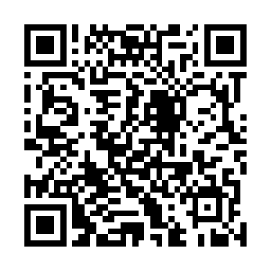 难道当年留下的那些人并不是死在夏侯渊晋派出的人之手二维码生成
