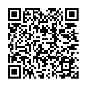 难道当时黑师父和白师父就是在这天道宗的悬崖上丢的二维码生成