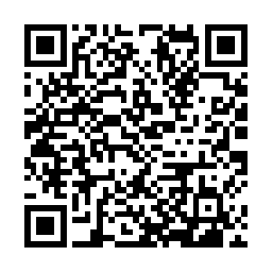 难道情治部门对于这个事情就真的是一点兴趣都没有吗二维码生成