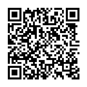 难道我一直要待在这个房间一直躺在床上到生吗二维码生成