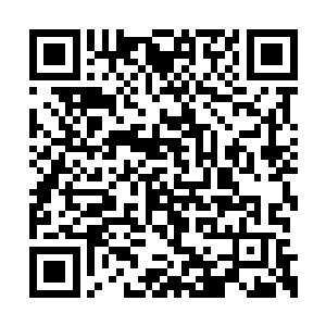 难道我对类似风姿气度的家伙都下意识有点嫉妒二维码生成