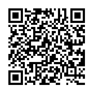 难道所有这些需要逆袭的原主都是同一个地方等待吗二维码生成