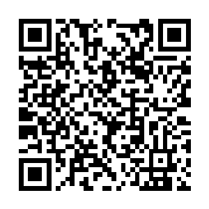难道是……运河县的新经济技术开发区就在高家镇二维码生成