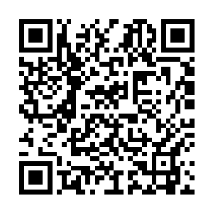 难道是世界之主觉得自己办事不力或者上次腹诽了几句二维码生成