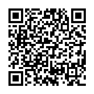 难道是为了给何玉燕安排什么特护病房才报了自己的编号二维码生成