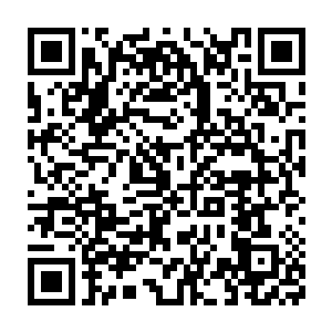 难道是你的血液之中蕴含着某种神异的先祖血脉的能量和基因……二维码生成