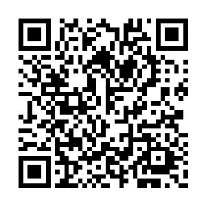 难道是因为夏洛克燕连太后的生育指标都敢克扣二维码生成