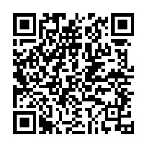 难道是因为她爷爷过世了令陛下没了忌惮要对夏侯家动手了二维码生成