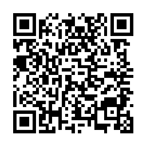 难道是她想在这个票房奇迹后继续抬升自己的报价二维码生成