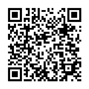 难道是她身上什么植物才引的赵老爷子穷追不舍吗二维码生成