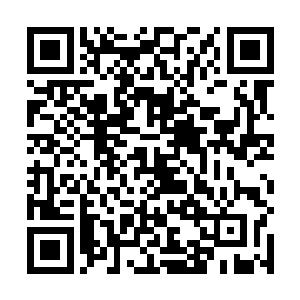 难道是想利用诅咒之井之中的困境筛选出两人的最强者二维码生成