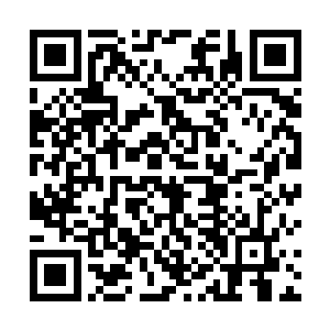 难道是想故意抛出诱饵看还能不能打动其他人放他出去二维码生成