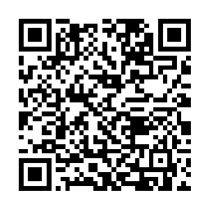 难道是最近封魔岭那个屡屡对真武大圣地出手的家伙二维码生成