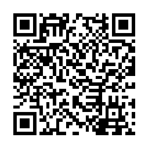 难道是那一点神之本源让它的力量变得更加强大了二维码生成