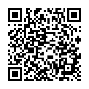 难道有个可靠实力强大的盟友比斗灵世界的情报还重要二维码生成