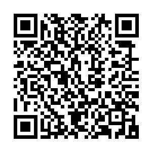 难道服用了第十号药剂的铁熊功力真的到达了这么变态的程度二维码生成