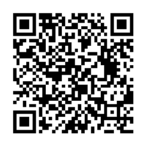 难道真的天天呆在工厂不是当保安队长就当他的司机二维码生成