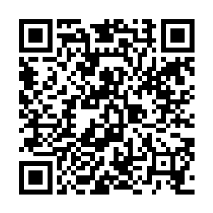 难道真的就只是为了让自己穿着这些她准备的衣服拍照么二维码生成