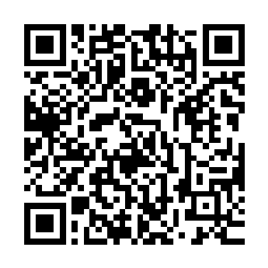 难道真要眼睁睁看着我人族同道惨遭海族魔头之手的屠戮杀害吗二维码生成