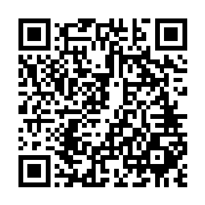 难道老妈和老爸刚才已经去学校见了我们班主任了二维码生成