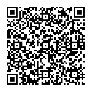 难道老爷你以为在各大宗门之中给门下弟子传授经典和秘籍就是把经典和秘籍拿出来给人看吗二维码生成