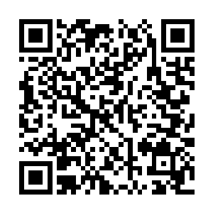 难道要等寄生兽完全显出原形把那些人都吃了才杀二维码生成