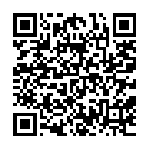 难道说……人界的那些变异的昆虫就是吸收了这开天灵气所致二维码生成