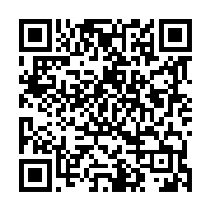难道说……在座的人看着墨修尧的目光都变得有些不同了二维码生成