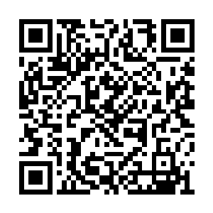 难道说……眼下这头异兽拥有不弱于上仙的实力二维码生成